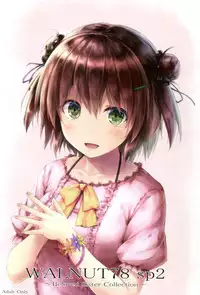 (C91) [Sui-en (Sui-en)] WALNUT78 10th (Kantai Collection -KanColle-)