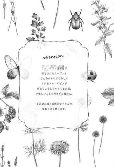 Doku o Kurawaba Sara made.