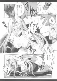 (CR37) [R-WORKS (ROS)] THE SAGE (Fate/stay night)