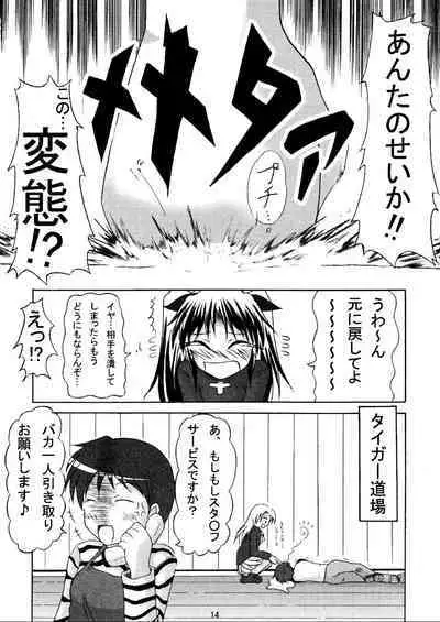 (C70) [HIK (Various)] -GFR- (Fate/stay night)