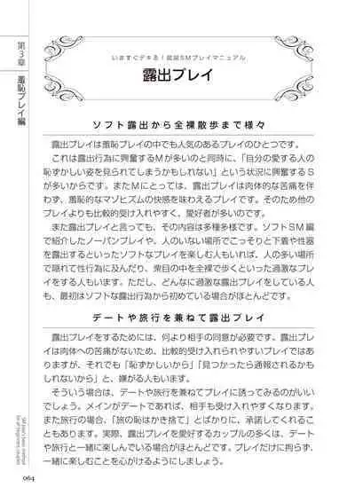 いますぐデキる 図説SMプレイマニュアル