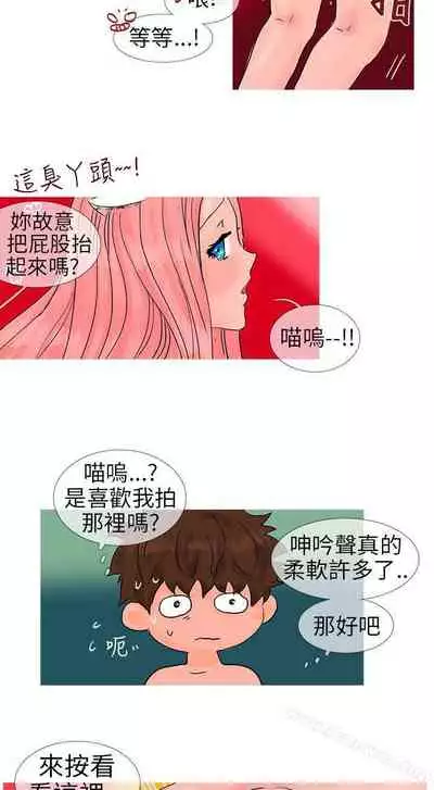 小野貓馴服手冊