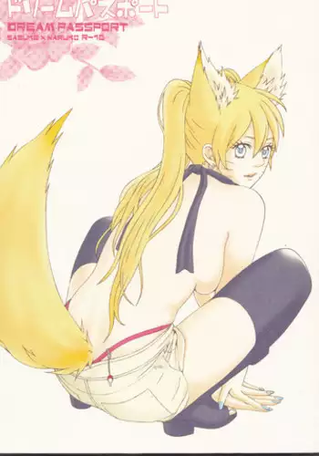 (C75) [Pierre (Garakuta Sochi)] Dream Passport (Naruto) [Incomplete]