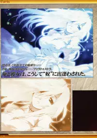 Dies irae Visual Fanbook - White Book