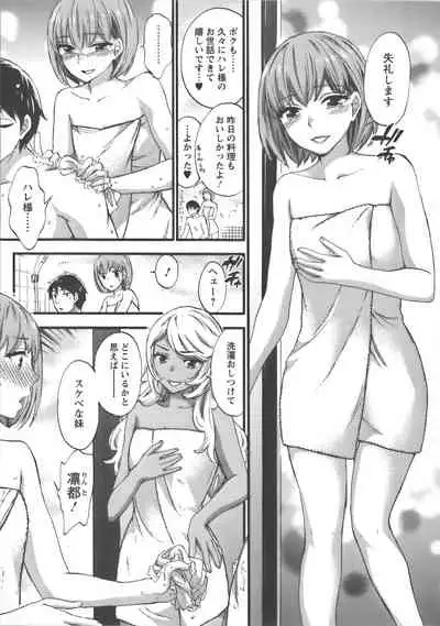 Zettai Harem Vol.7 + Seifuku Harem Settei Artworks Shuu