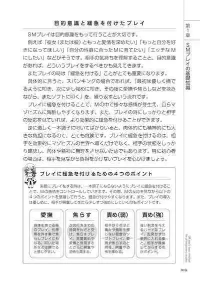 いますぐデキる 図説SMプレイマニュアル