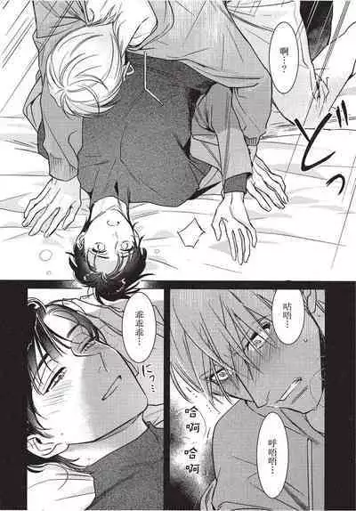 Chihireru Kubiwa | 碎裂的项圈