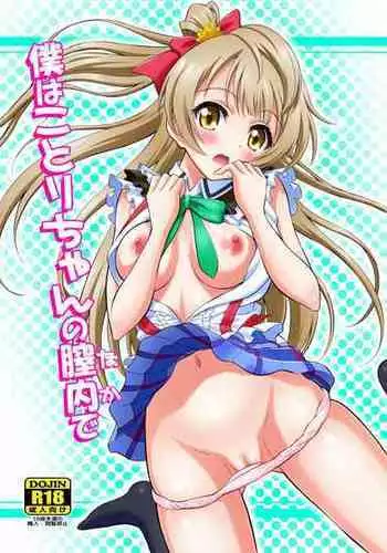 [GUST (Harukaze Soyogu)] Boku wa Kotori-chan no Naka de (Love Live!) [English] [Digital]