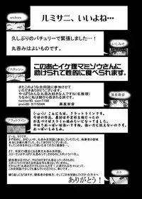 [Gensou Stomach (Various)] Touhou Marunomiroku Shinuchi (Touhou Project) [Digital]