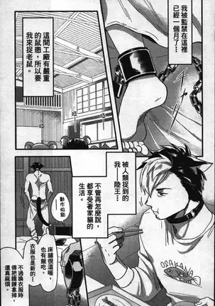 Hatsujou Kemono Hiyori | 發情野獸日和