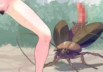 The work of the Insect Detective