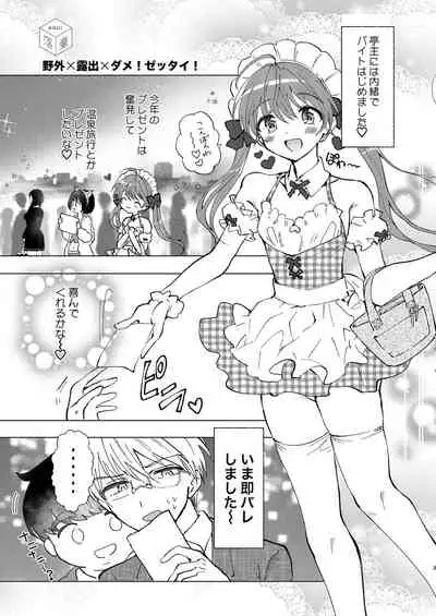 野外露出、ダメ!ゼッタイ