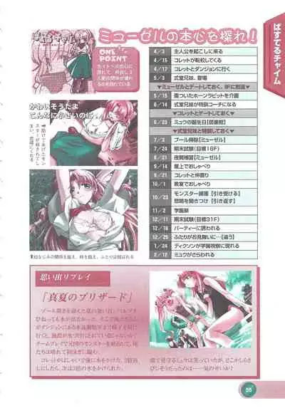 Official Alicesoft Full Completion Guide 2 (PC-CUPID)