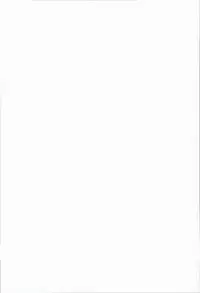 (C85) [STUDIO HUAN (Raidon)] Kitamama Fate-chan (Mahou Shoujo Lyrical Nanoha)