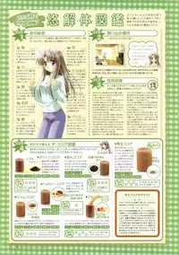 Canvas Sepia iro no Motif Visual Fanbook