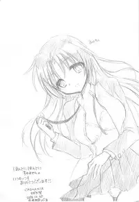 (C75) [Casmania (Mozuya Murasaki)] Catalyst + Kaijou Gentei Copy bon (Toradora!)