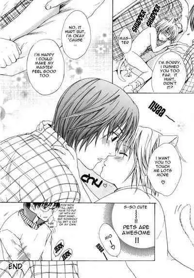 Puchi D VOL. 4 Kemonomimi