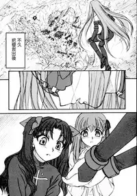 (C66) [Junpuumanpandou (Hida Tatsuo)] Ride on Shooting Star (Fate/stay night) [Chinese] [322漢化]