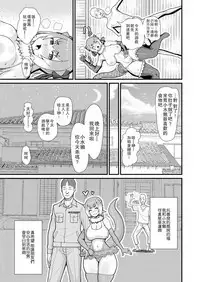 Kotsume-chan Asobou