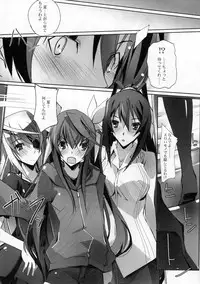 [Ryu-Seki-Do (Nagare Hyougo)] Nukegake Koneko no Nijuusou (Infinite Stratos)