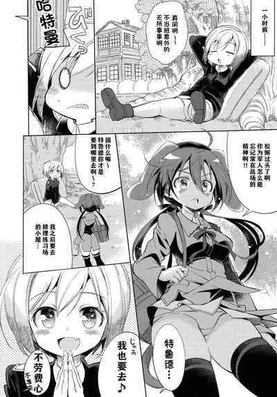 (AkihabaraDoujinsai 1) [Mimishiki)] Yappari Hartmann da ne | 果然是哈特曼呢 (Strike Witches) [Chinese]