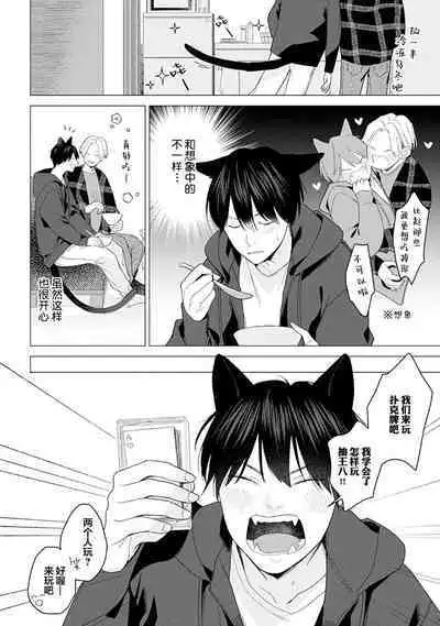 恋爱中的猫咪想被抚摸