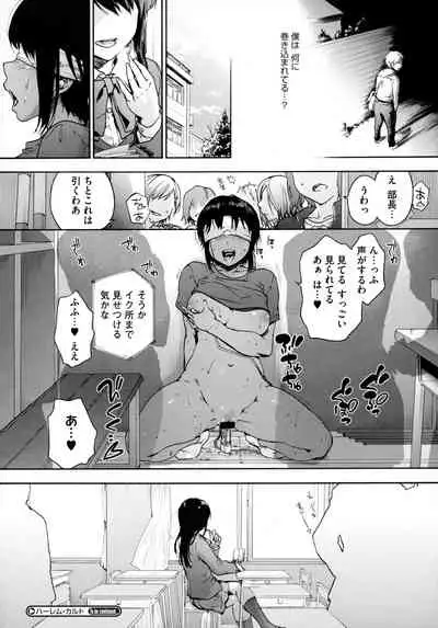 Harem Cult side HAREM