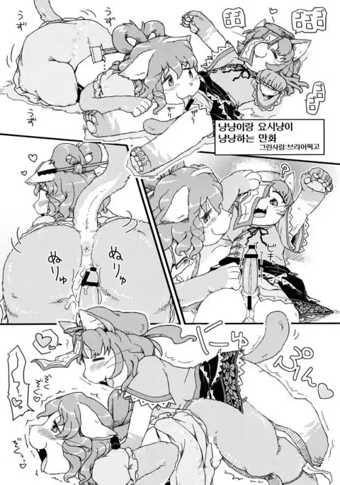 Dororicchi | 도로리치