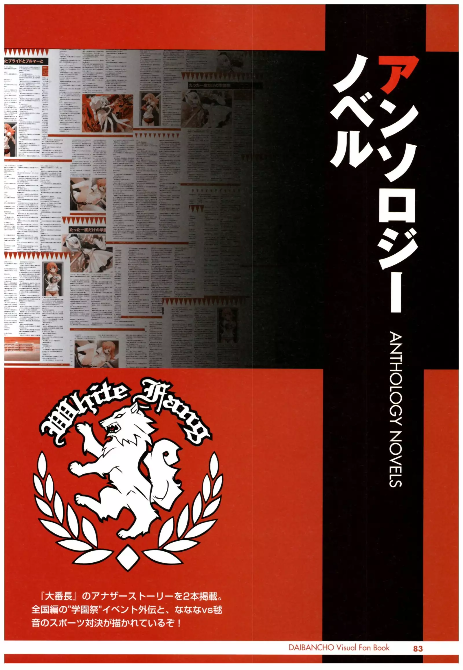 大番長 visual fan book