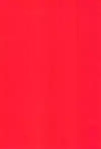 (C92) [Don't UndeRsTand (DoLL Suke)] Kawaki (Detective Conan)