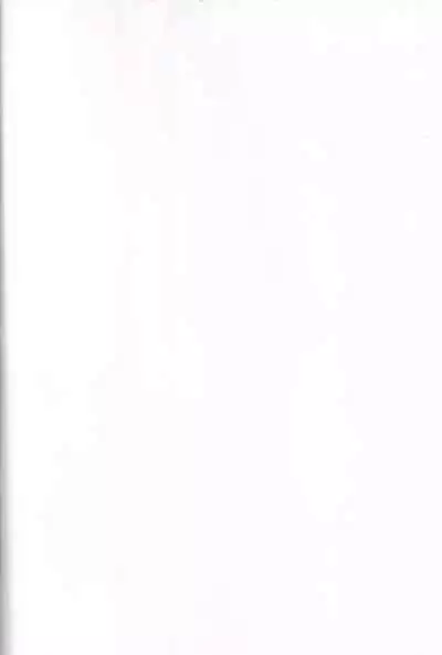 Fujun Isei Kouyuu with Iede JK