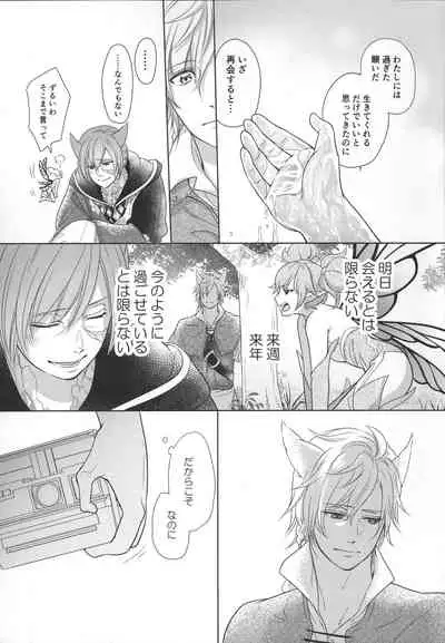 [Nawofu Mochi (Nawofu)] Focus (Final Fantasy XIV)