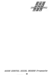 (C68) [DIGITAL ACCEL WORKS (INAZUMA.)] Super Freedom (Gundam SEED DESTINY)