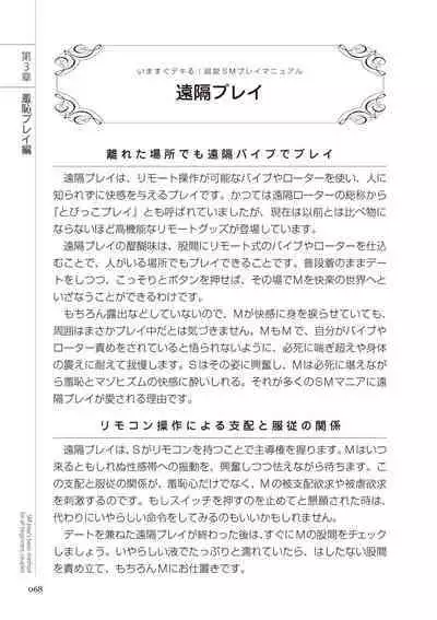 いますぐデキる 図説SMプレイマニュアル