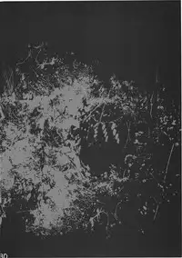 (C78) [Rapid Rabbit (Tomotsuka Haruomi)] Byoujo no Sho (Touhou Project) [English] [CGRascal]