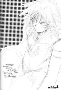 Reform of Demon Road