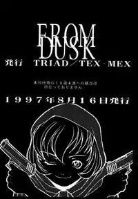 (C52) [TEX-MEX, TRIAD (Various)] FROM DUSK (Darkstalkers)