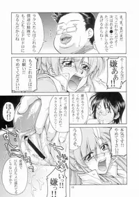 (C65) [GOLD RUSH (Suzuki Address)] Emotion (Ura) (Gundam SEED)