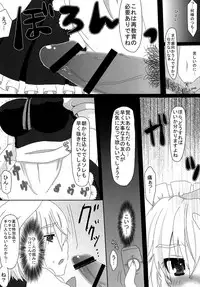 (Reitaisai 8) [Testa Kitchen (Testa, Aisa)] SHADOW MOON (Touhou Project)