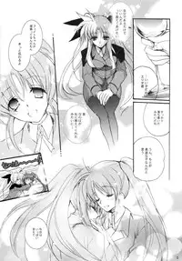 (C80) [Hanzai Tengoku] Happiness (Mahou Shoujo Lyrical Nanoha)