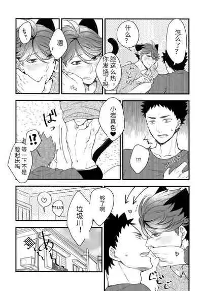 我想成为小岩的猫2 I want to become Iwa-chan's Cat! 2