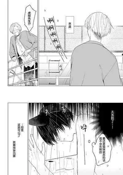 恋爱中的猫咪想被抚摸