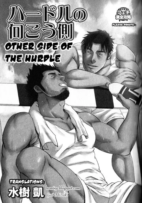 Other Side of the Hurdle