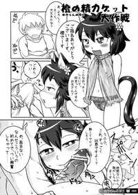 (Reitaisai 7) [Cat Expert (Various)] ero Chen Goudou (Touhou Project)