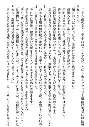 年上メイドの新婚日記