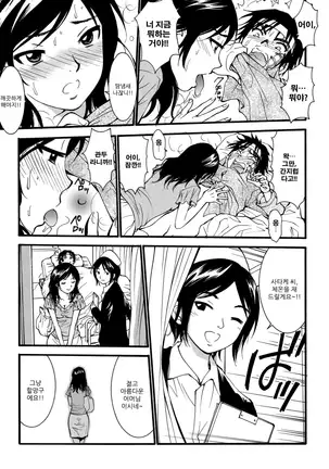 Boshi Waigyaku Rinkai | 모자외학윤회