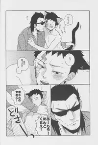 (CSP5) [Ochawan (Wakachiko)] collect (Buraiden Gai)