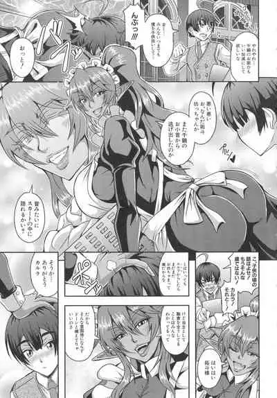 Elf Harem Monogatari