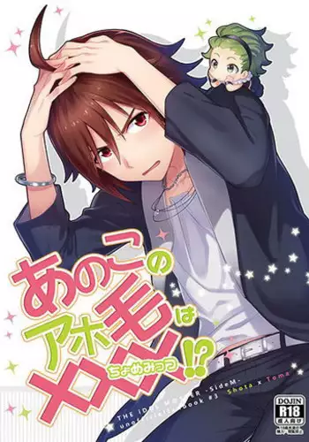 (MIRACLEFESTIV@L!!3) [Danmenz (Kakure)] Ano Kono Aho Ke wa ×××!? (THE IDOLM@STER SideM)