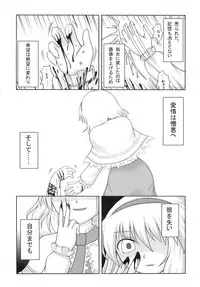 (C77) [Reborn (Various)] Ijou Keiken +2 (Touhou Project)